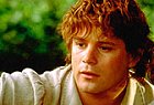 [Sean Astin]