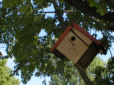 [I made that birdfeeder with my grandpa]