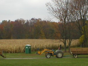 [cornfield!]