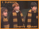 The Harry Potter Clique